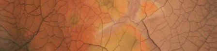 les_couleurs_des_oxydes_de_fer.jpg