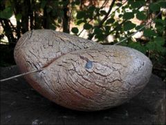 AppleMark